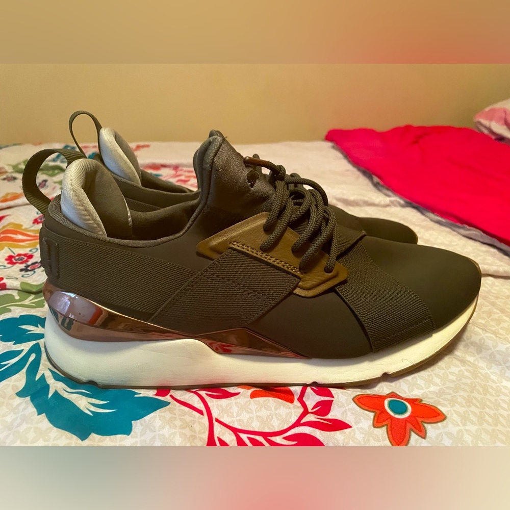 PUMAS